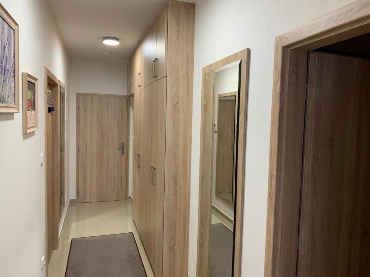 Apartment Rezidence - Javor & Wellness Železná Ruda 외부 사진
