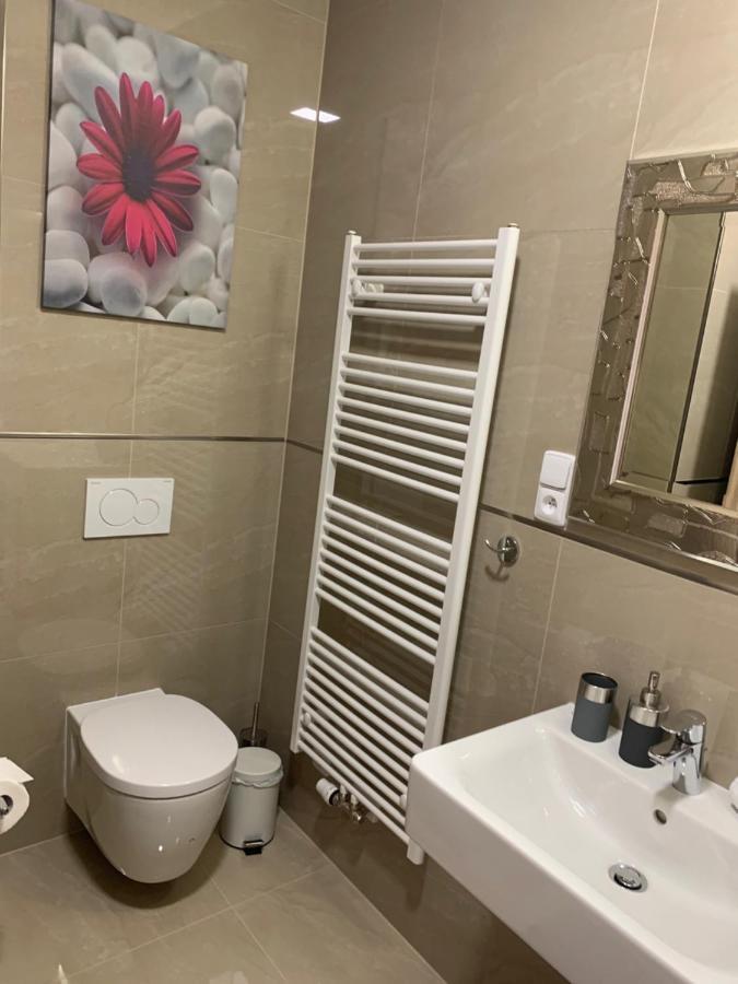Apartment Rezidence - Javor & Wellness Železná Ruda 외부 사진