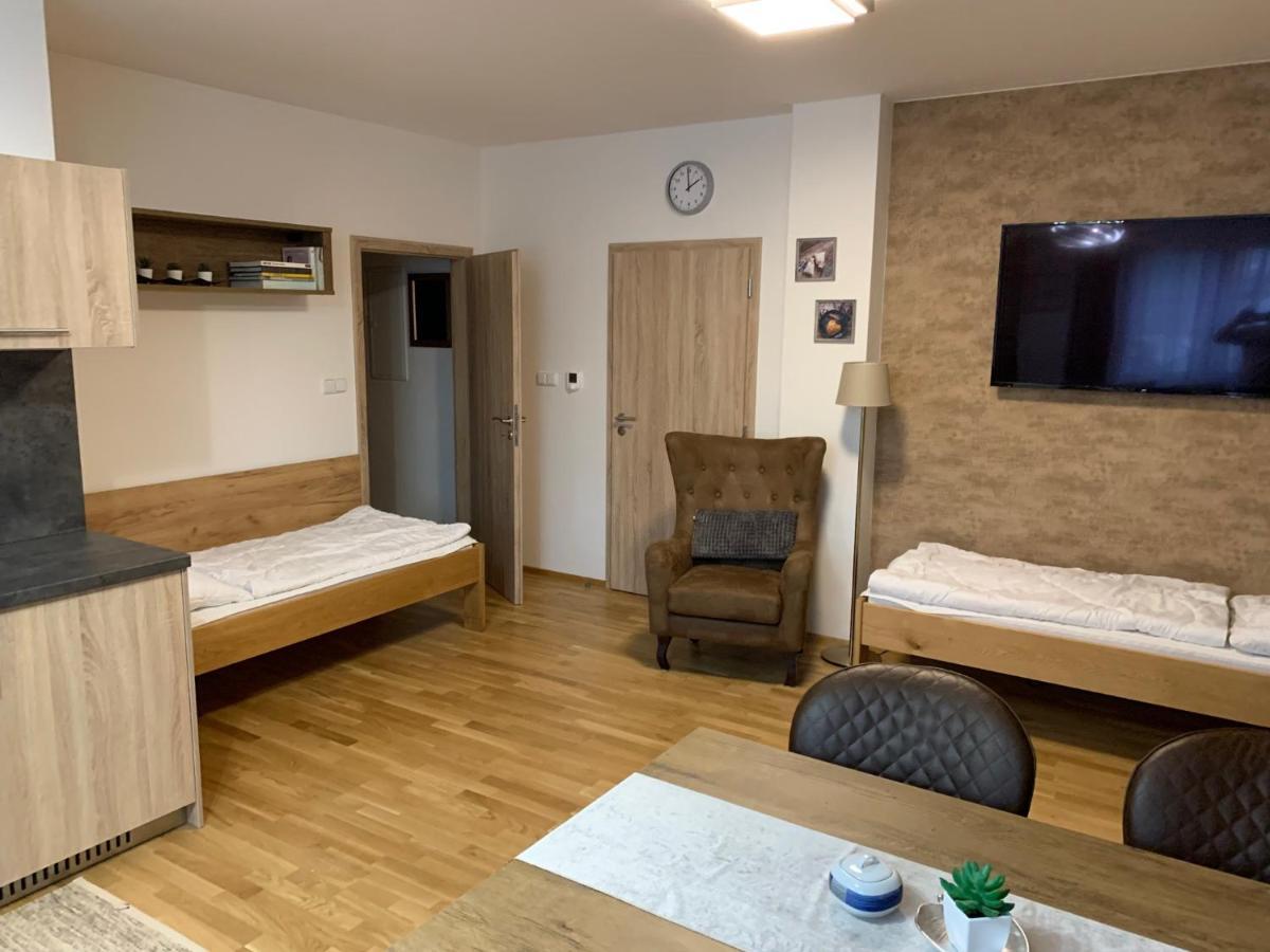 Apartment Rezidence - Javor & Wellness Železná Ruda 외부 사진