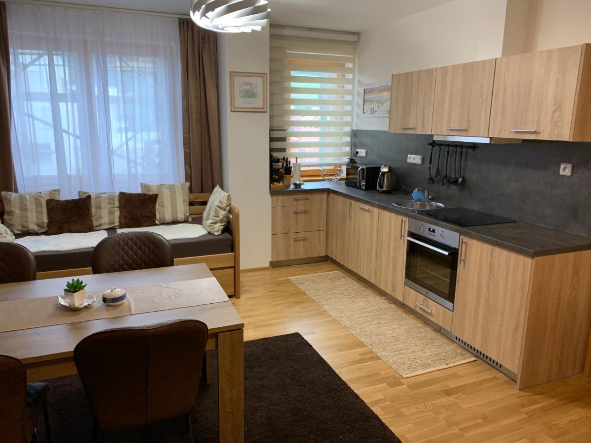 Apartment Rezidence - Javor & Wellness Železná Ruda 외부 사진